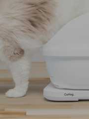 Catlog