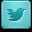 Twitter icon