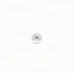 animated galaxy search