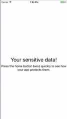 LaunchScreenSnapshot