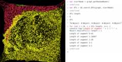 DFS Color Map