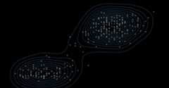 Density Contours