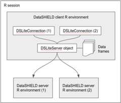 DSLite architecture