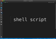 shell-format