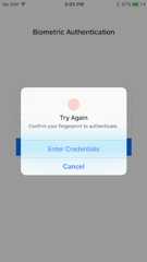 Fallback title Alt text