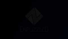 Enpuzzled Video