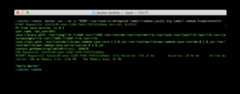 Example usage with java11 runtime