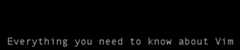 vim-galore logo