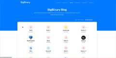 bigbinary.com