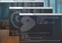 Arch Linux, Debian, Gentoo are installed by Distrod on WSL2 with systemd running