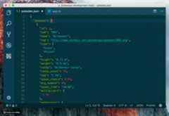 Paste JSON as Code