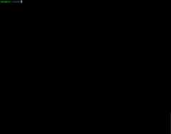 https://raw.githubusercontent.com/samael500/falstart/master/example.gif