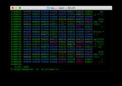 octal hex output format
