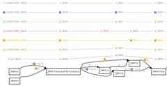 example variation graph