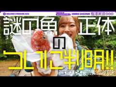 「乃木坂配信中」で梅澤美波が築地ロケ