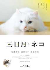 『三日月とネコ』に小林聡美、山中崇ら出演