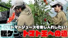 松山ケンイチ、一から育てたトマトを収穫