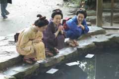 『ばけばけ』八重垣神社も“聖地”になるか? 『虎に翼』など朝ドラが産んだ象徴スポット