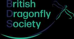 British Dragonfly Society Recording Scheme logo