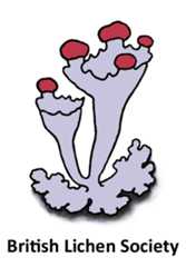 British Lichen Society logo