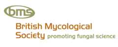 British Mycological Society logo