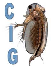 Cladocera Interest Group logo