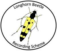 The National Longhorn Beetle Recording Scheme logo