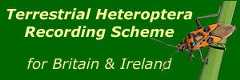 Terrestrial Heteroptera Recording Scheme (Plantbugs and allied species) logo