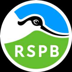 Royal Society for the Protection of Birds logo