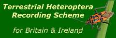 Terrestrial Heteroptera Recording Scheme (Shieldbugs & allied species) logo