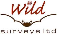 Wild Surveys logo