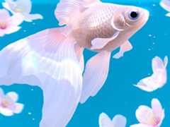 RYUKINは美と癒やしを与えてくれる新たなる傑作アプリ