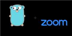 zoom-lib-golang