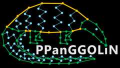 PPanGGOLiN