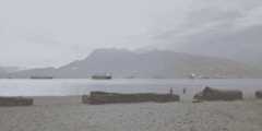img4d