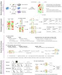 drug-disease-profile-matching