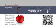 magicbus