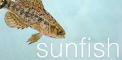 sunfish