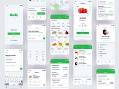 Flutter-UI-Kits