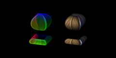 SuperQuadricRenderer