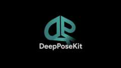 DeepPoseKit
