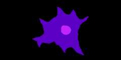 spatial-model-editor