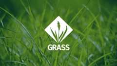 grass