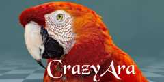CrazyAra-Engine