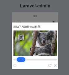 auth-captcha