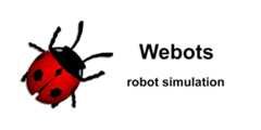 webots_ros2