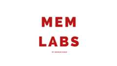MemLabs