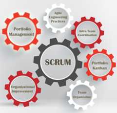 Scrum-Management