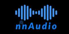 nnAudio