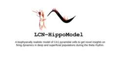 LCN-HippoModel